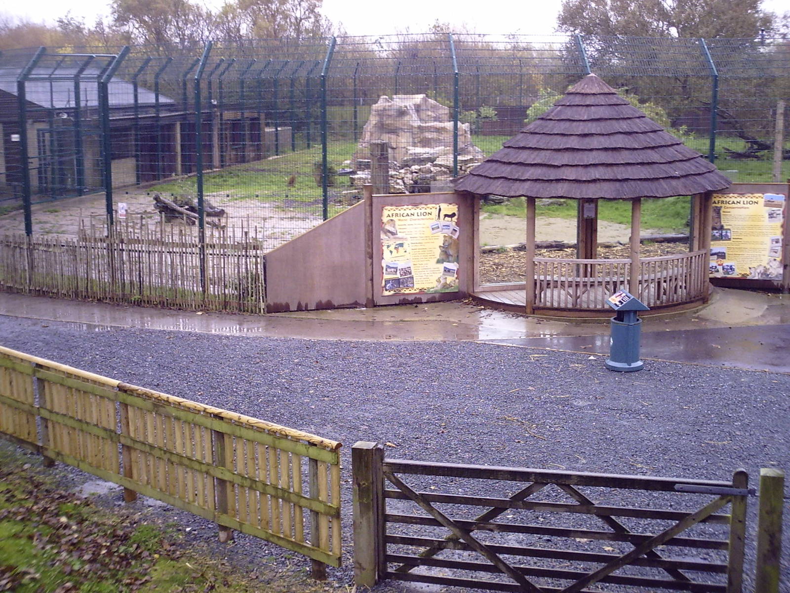 Lion Enclosure