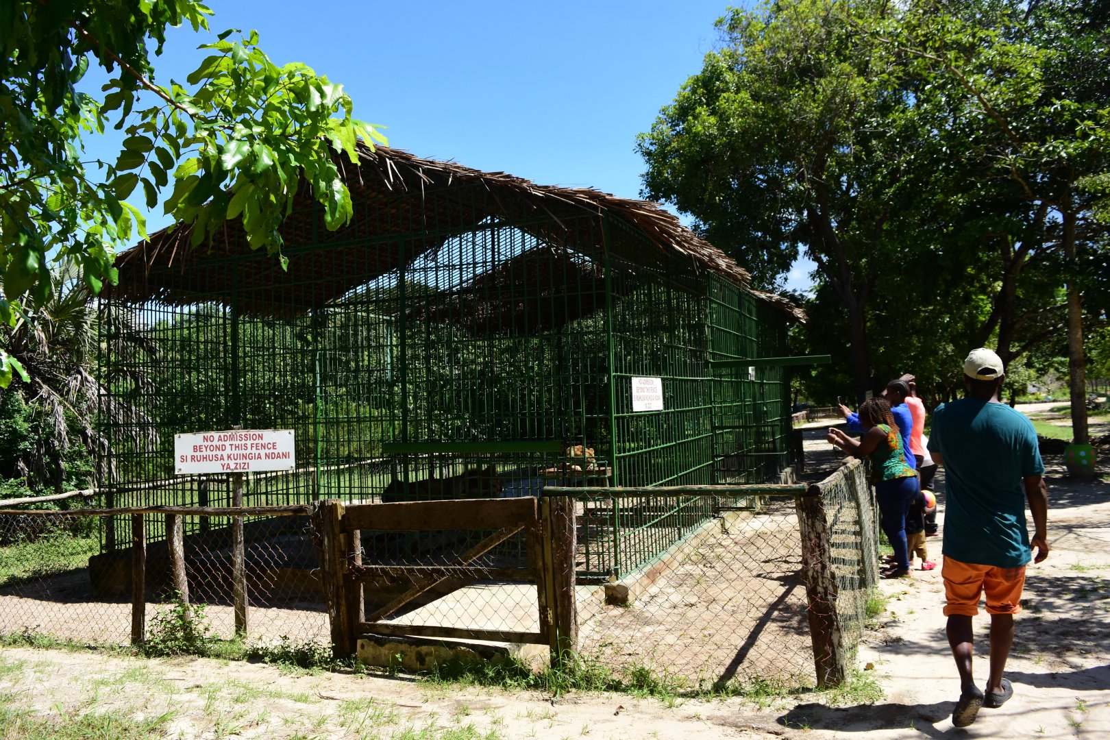 Lion enclosure