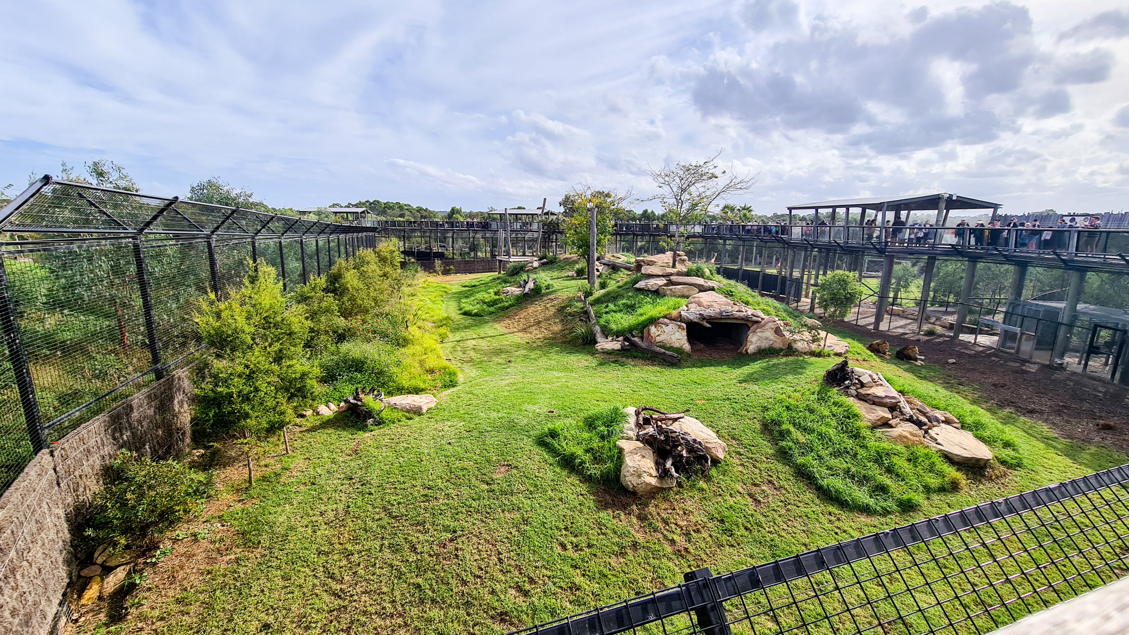Lion enclosure