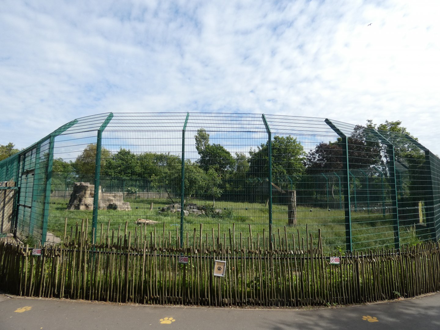 Lion enclosure