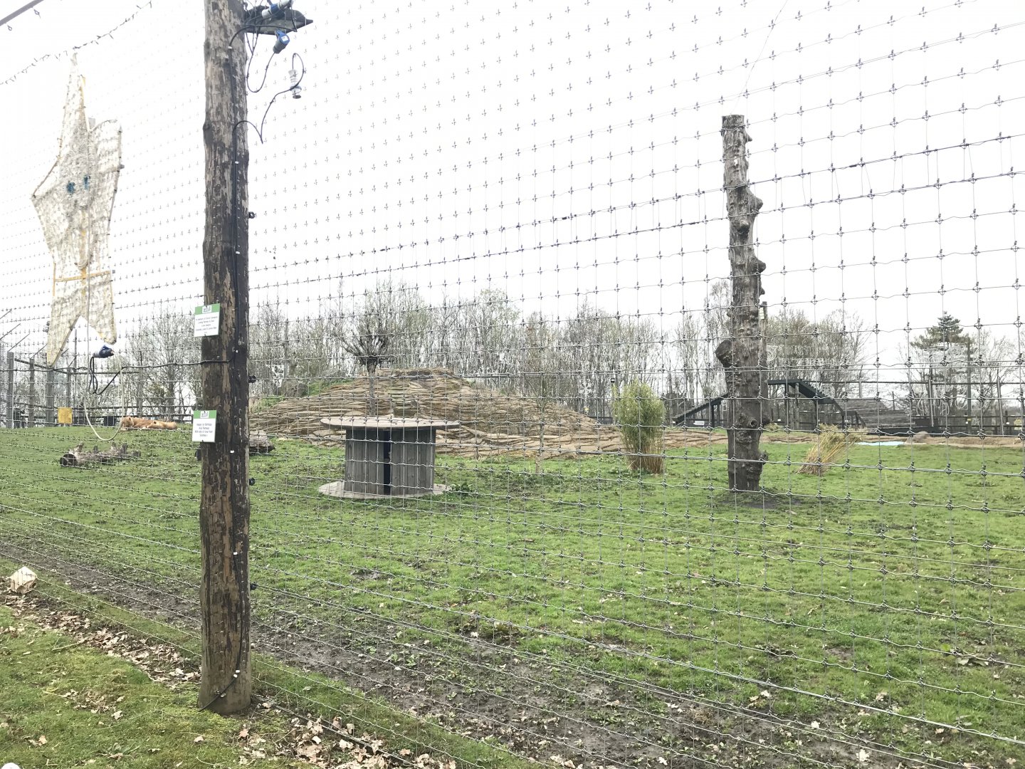 Lion enclosure