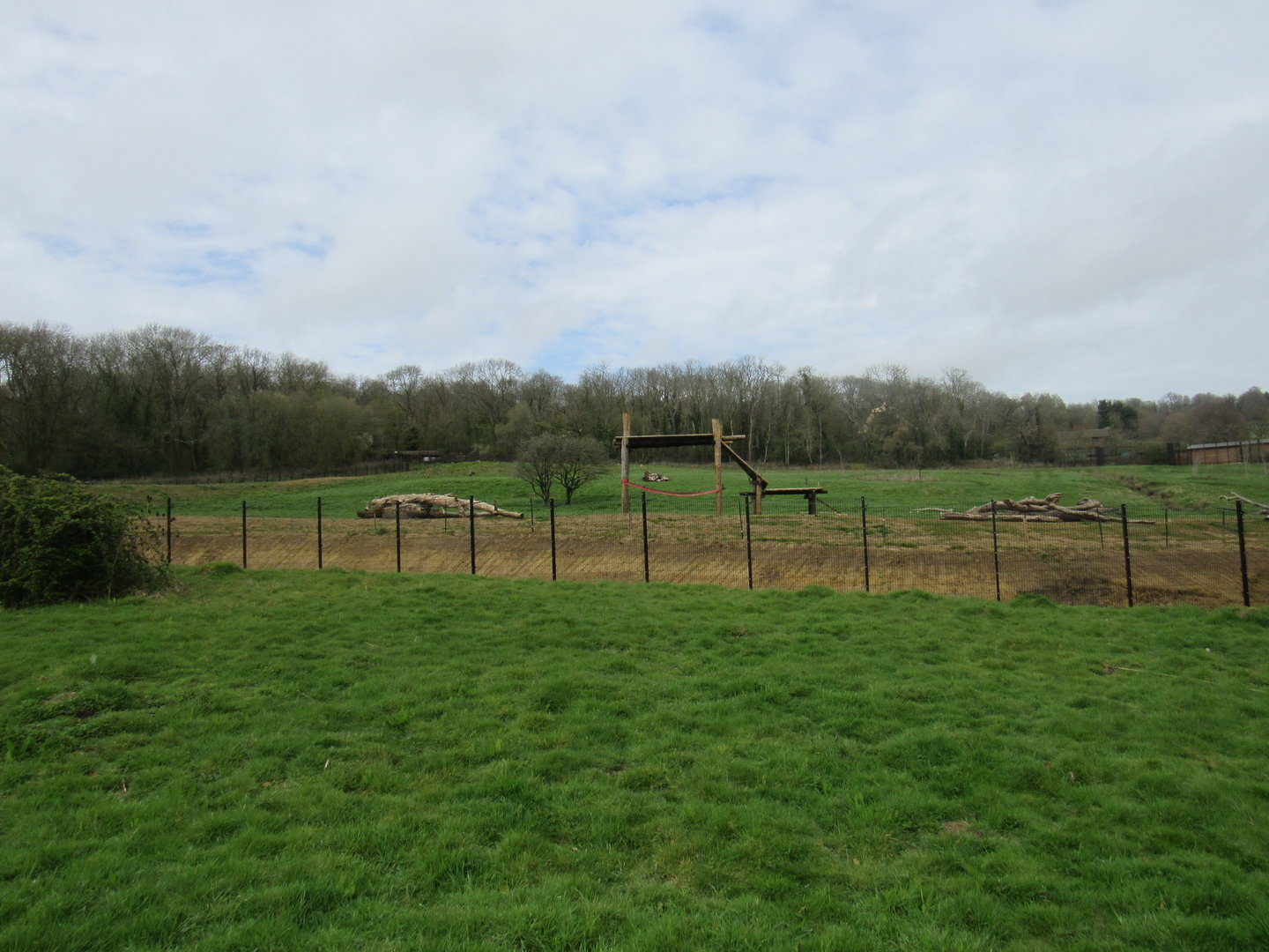 Lion Enclosure