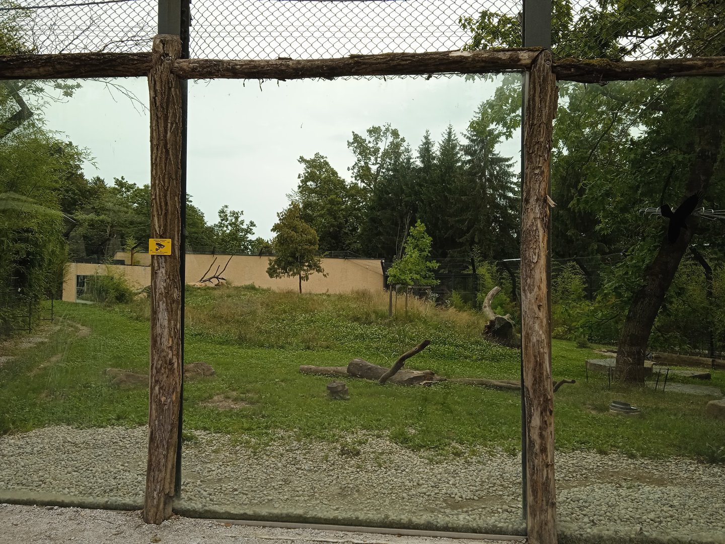 Lion enclosure