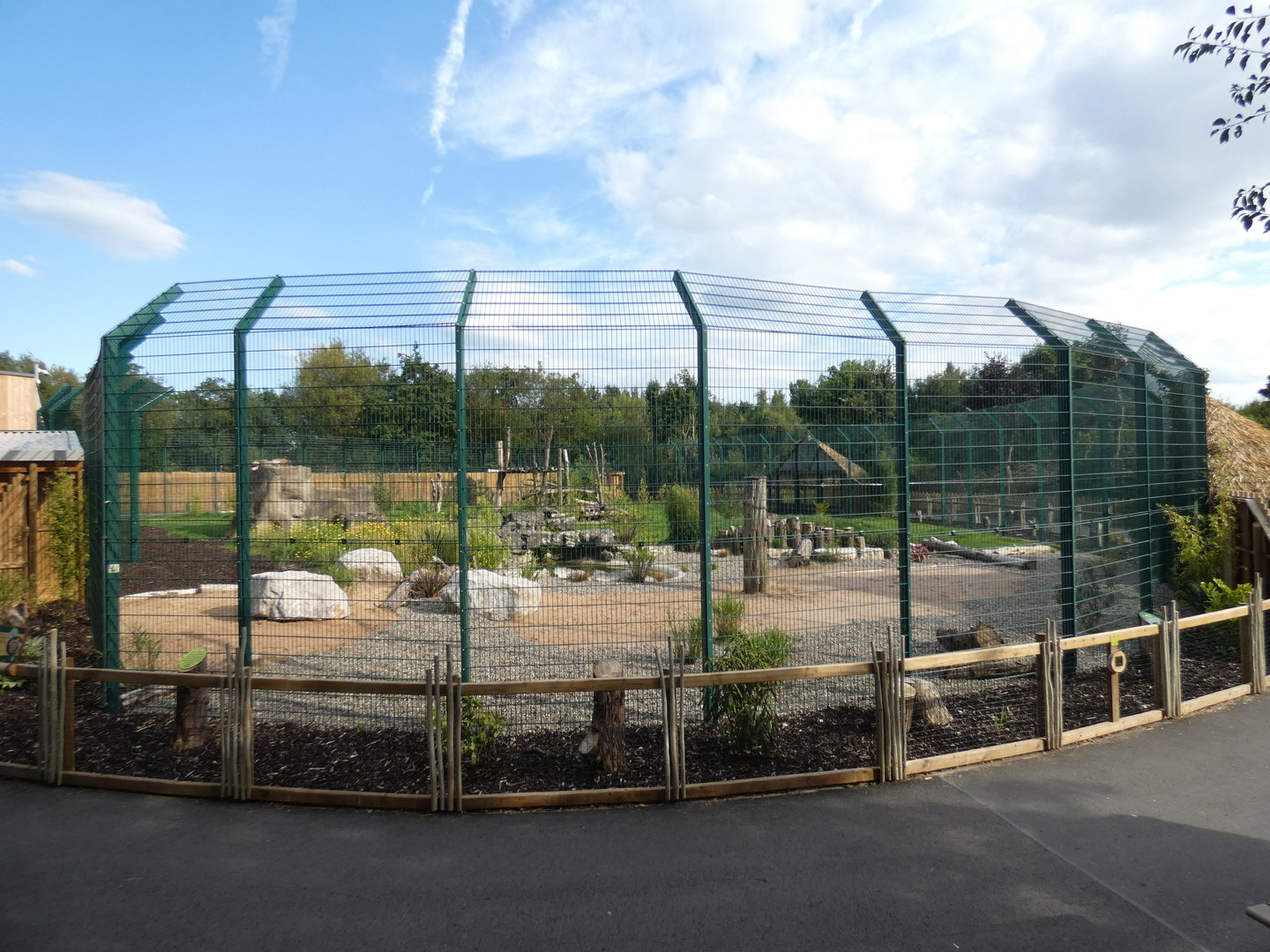 Lion enclosure