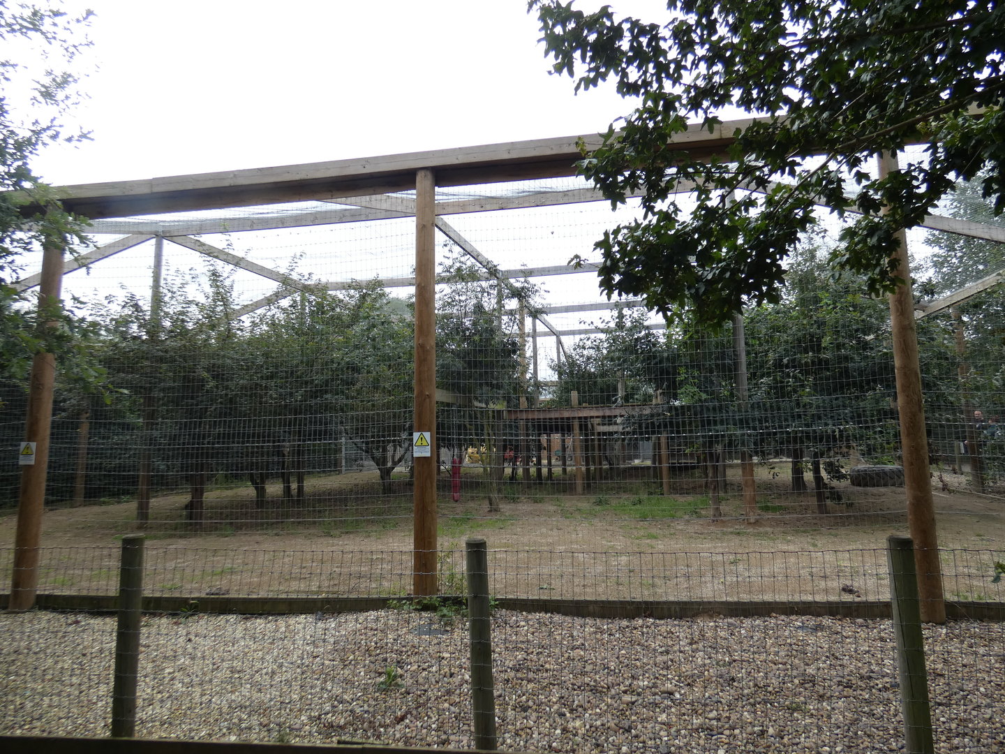 Lion enclosure