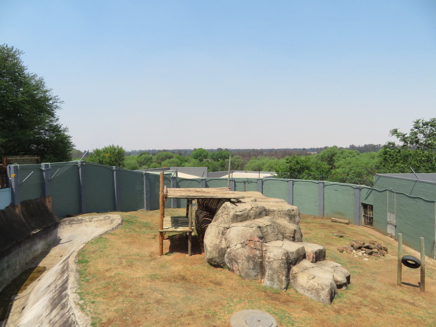 Lion Enclosure
