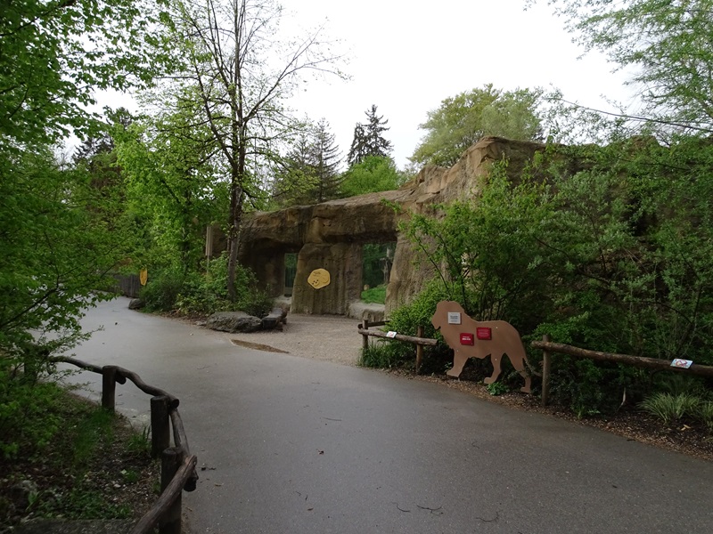 Lion enclosure