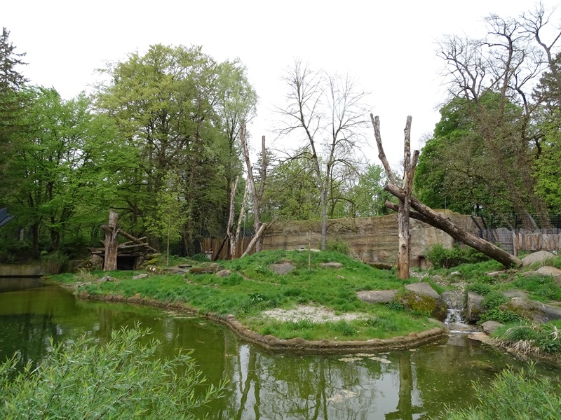 Lion enclosure