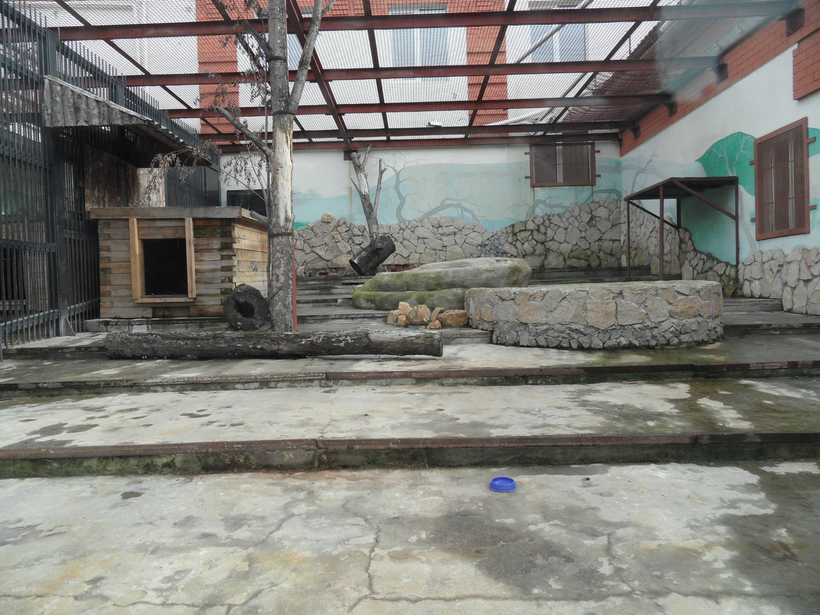 Lion exhibit (1 of 2)