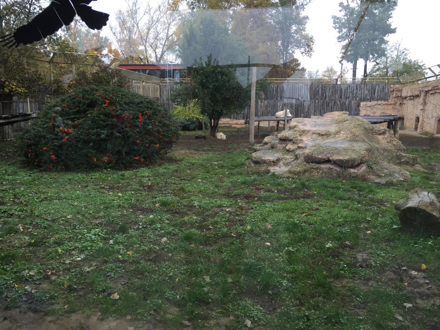 Lion exhibit 10.2020.