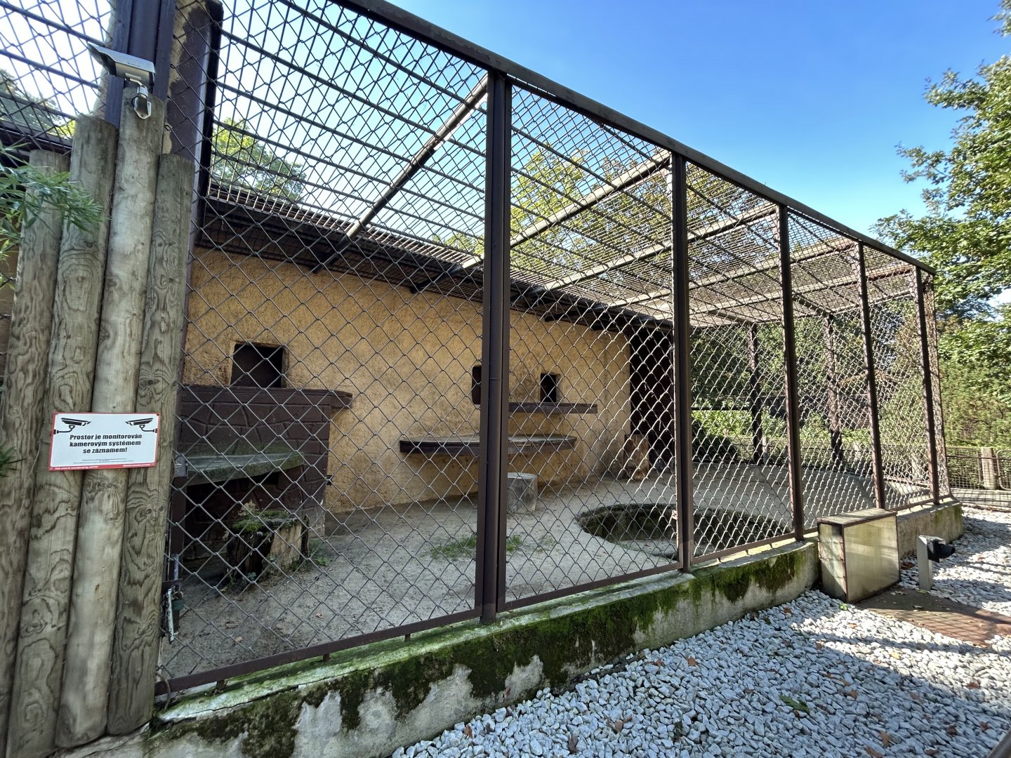 Lion Exhibit #2 - Indian Carnivores House