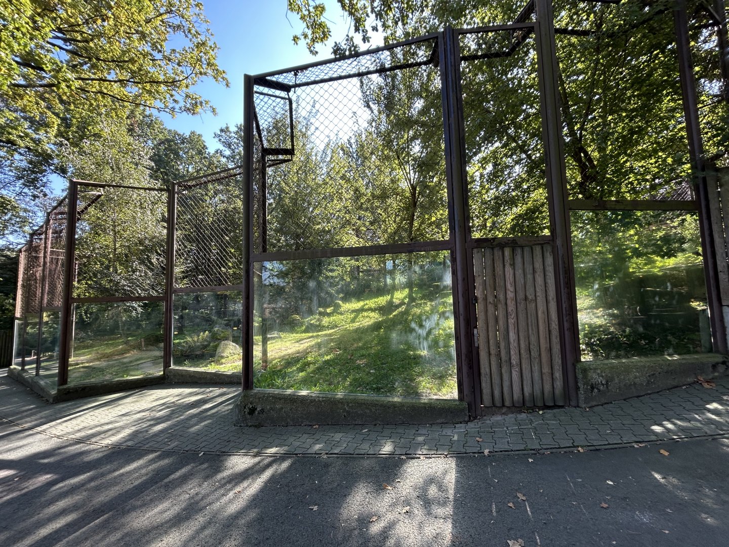 Lion Exhibit #3 - Indian Carnivores House