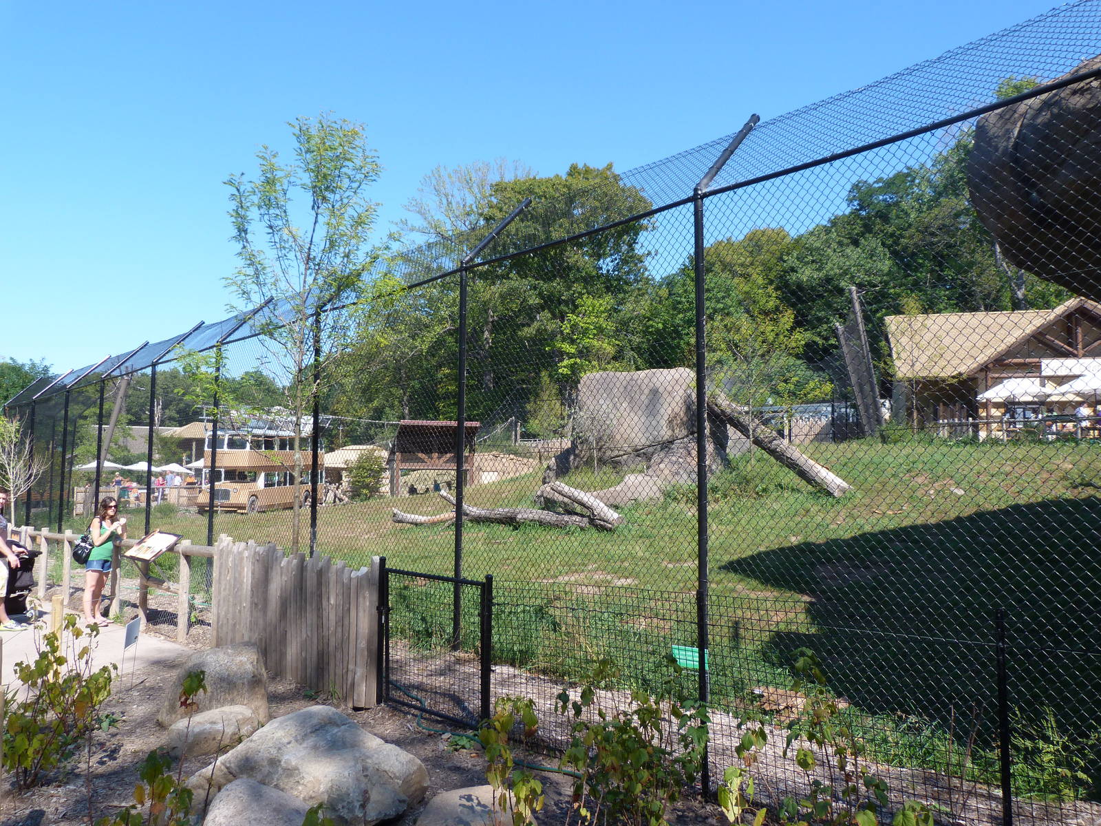 Lion Exhibit (A Step Into Africa) 9-2-12