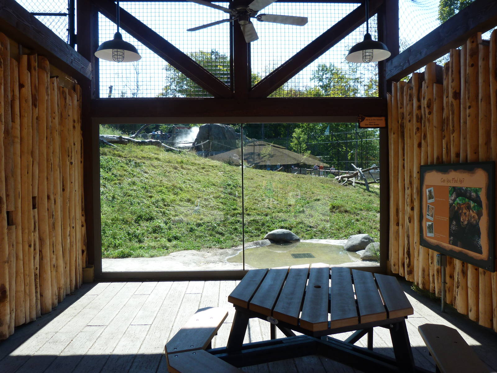 Lion Exhibit (A Step Into Africa) 9-2-12
