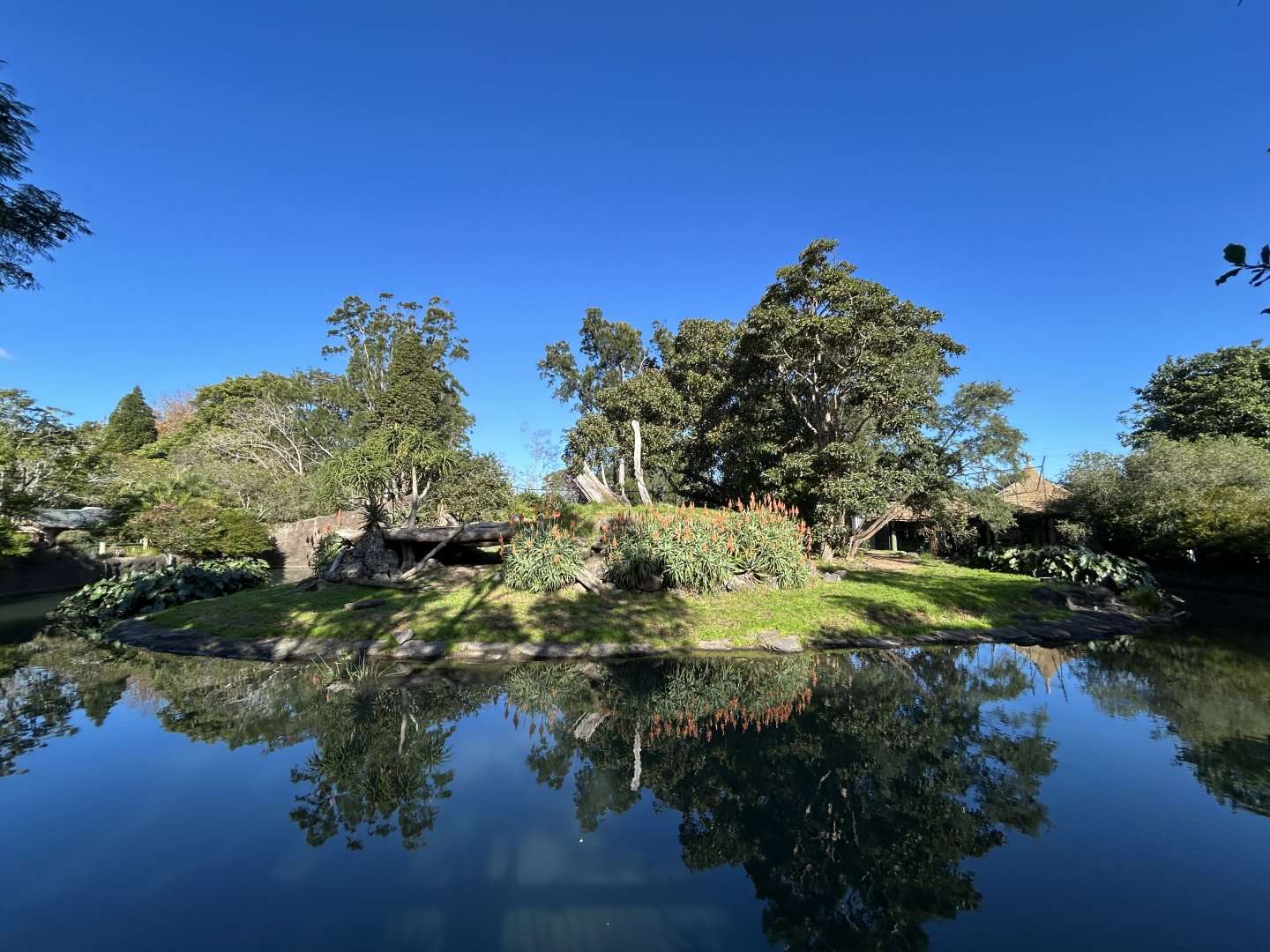 Lion Exhibit - African Safari Track