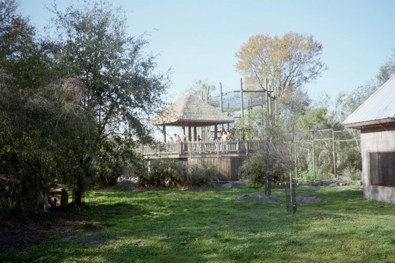 Lion Exhibit and Viewing - Plains of East Africa