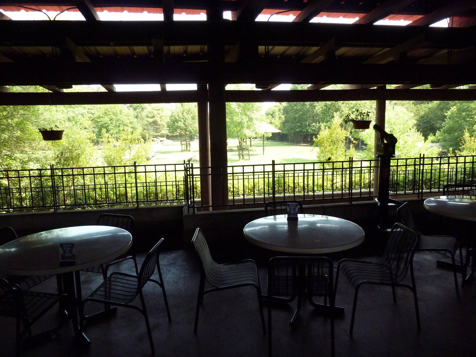 Lion Exhibit - Asian Paddock