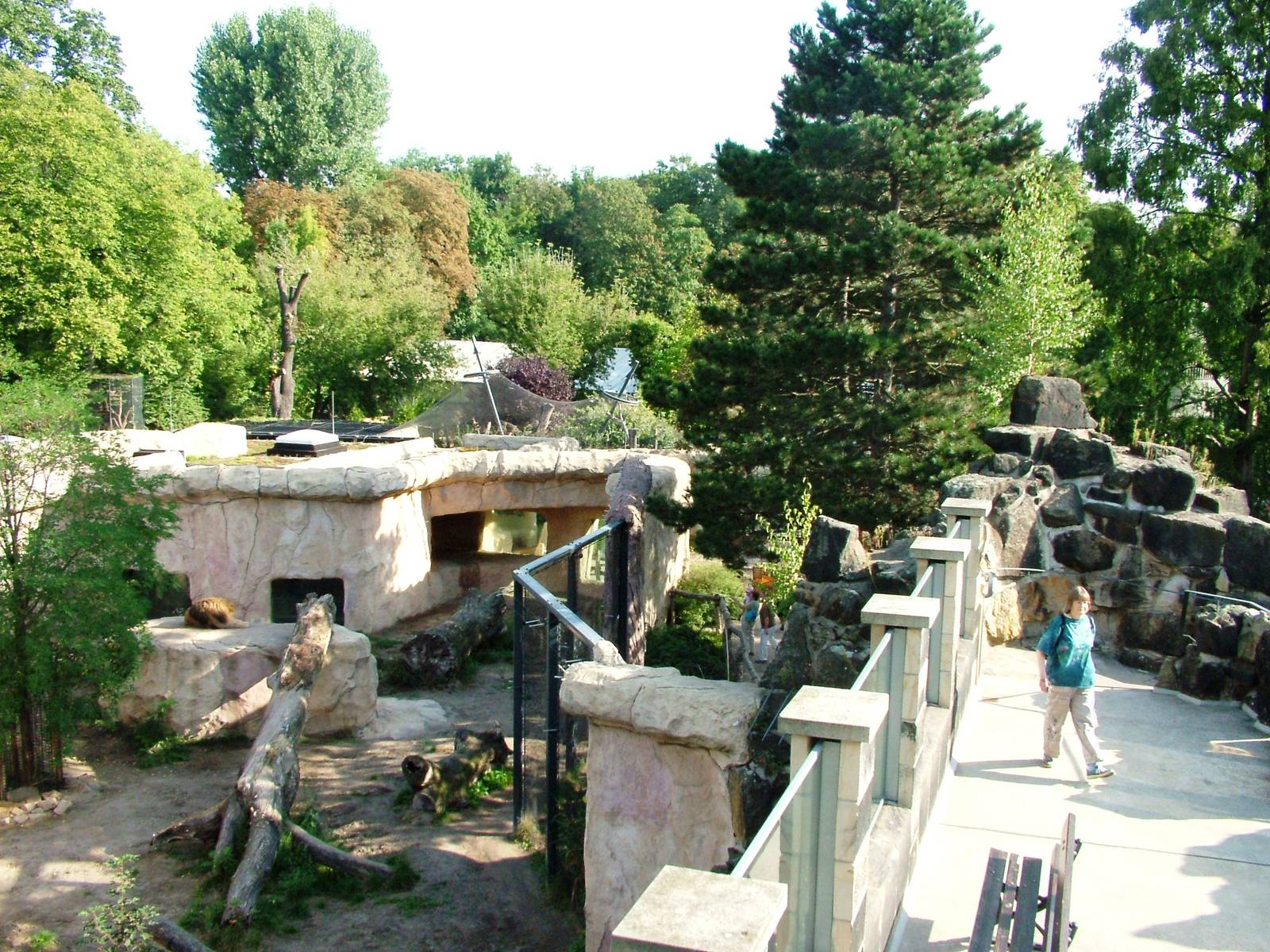 Lion Exhibit at Dresden, 29/08/12