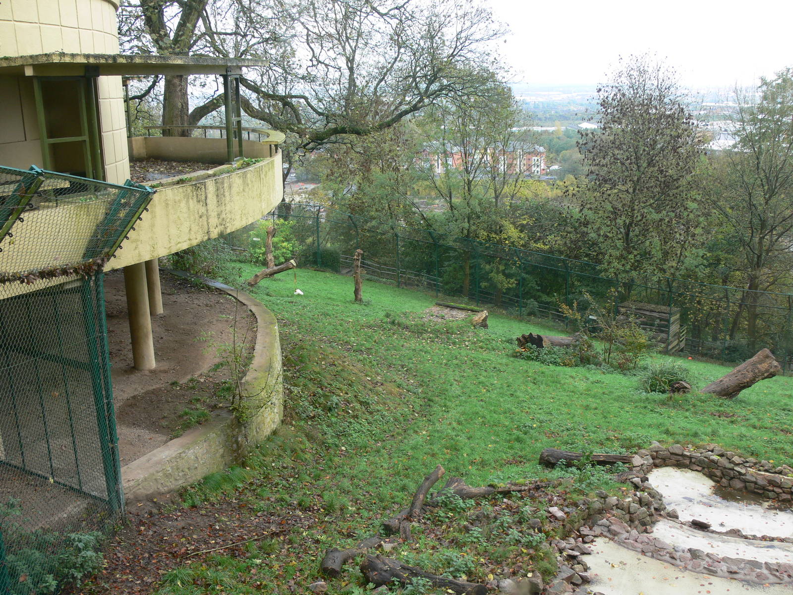 Lion exhibit at Dudley, 02/11/13