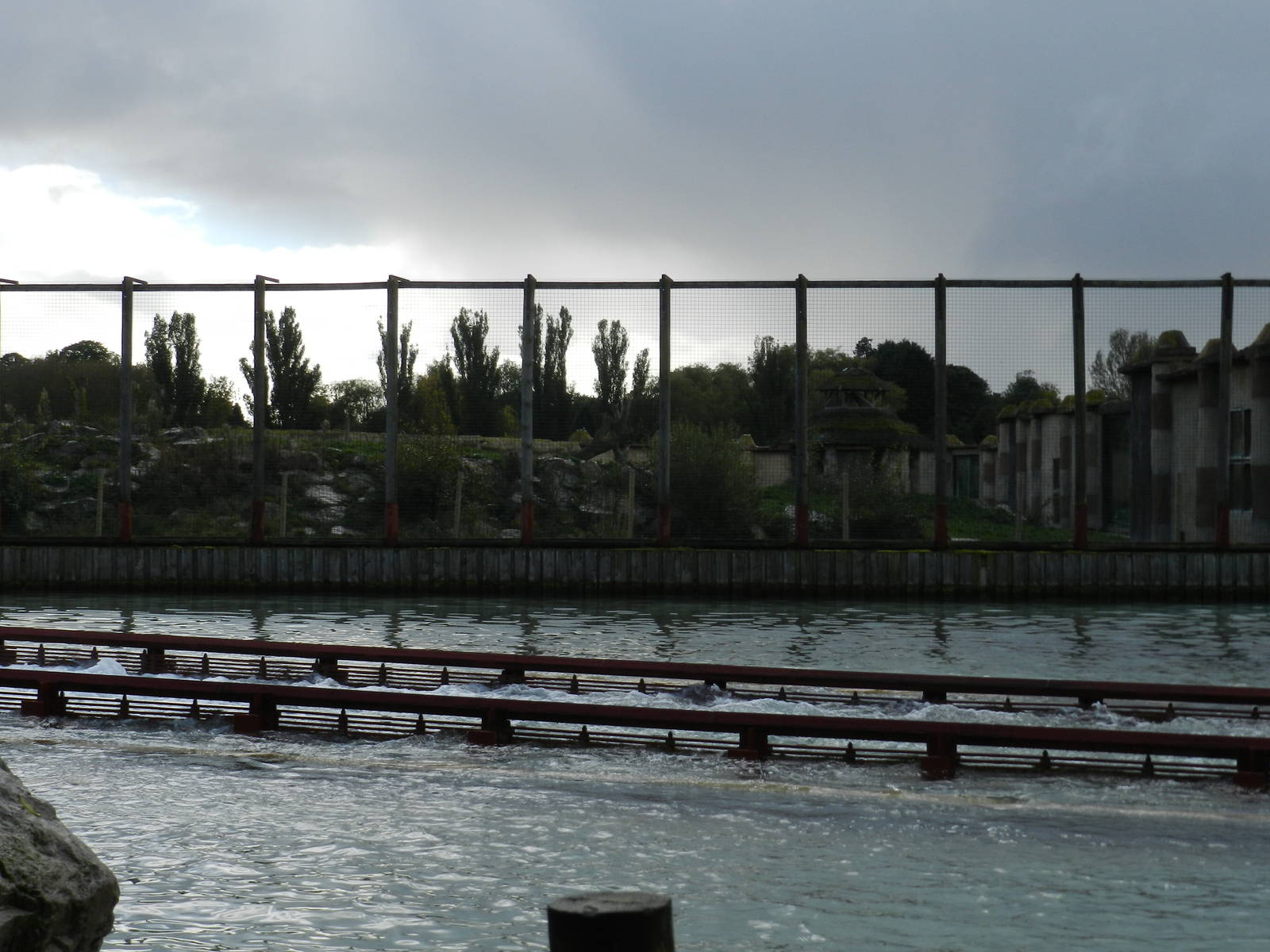 Lion Exhibit at Flamingo Land - 14/10/2012