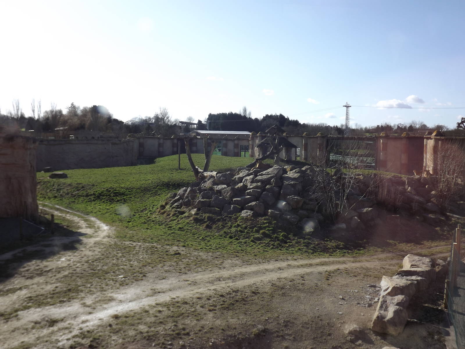 Lion exhibit at Flamingoland 19/02/12