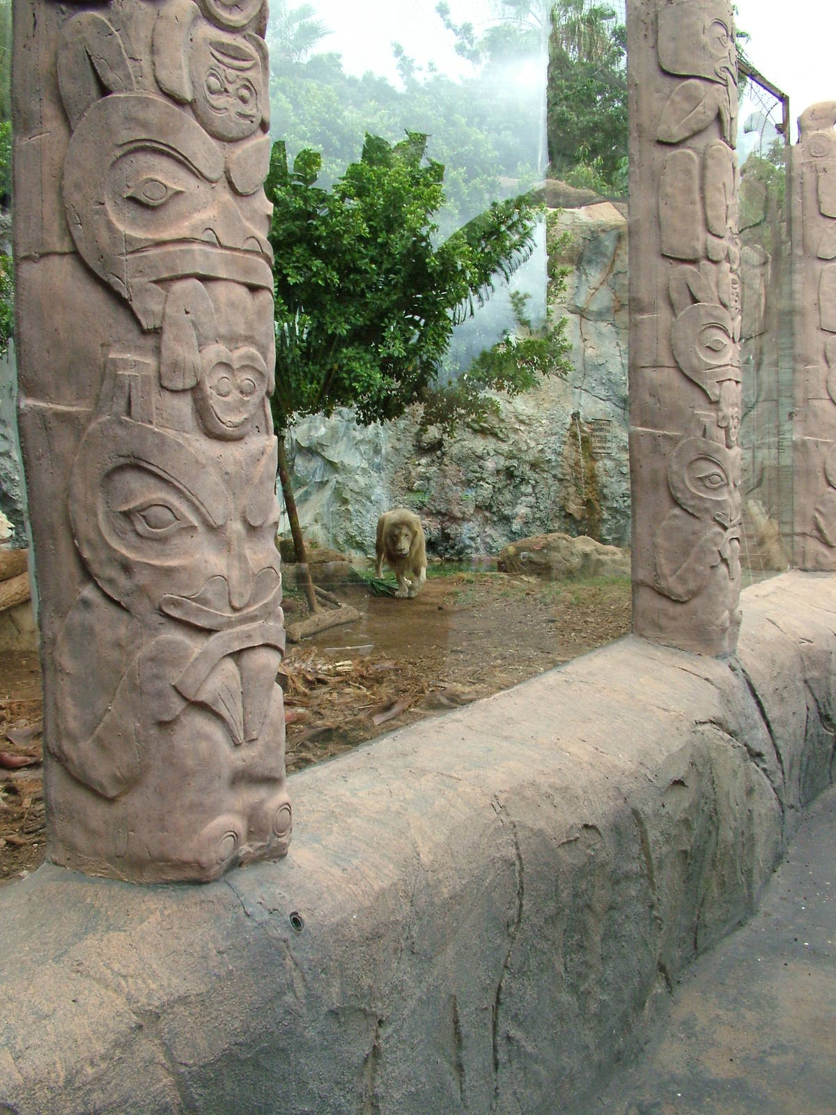 Lion Exhibit at Jungle Park (Las Aguilas), 13/11/10