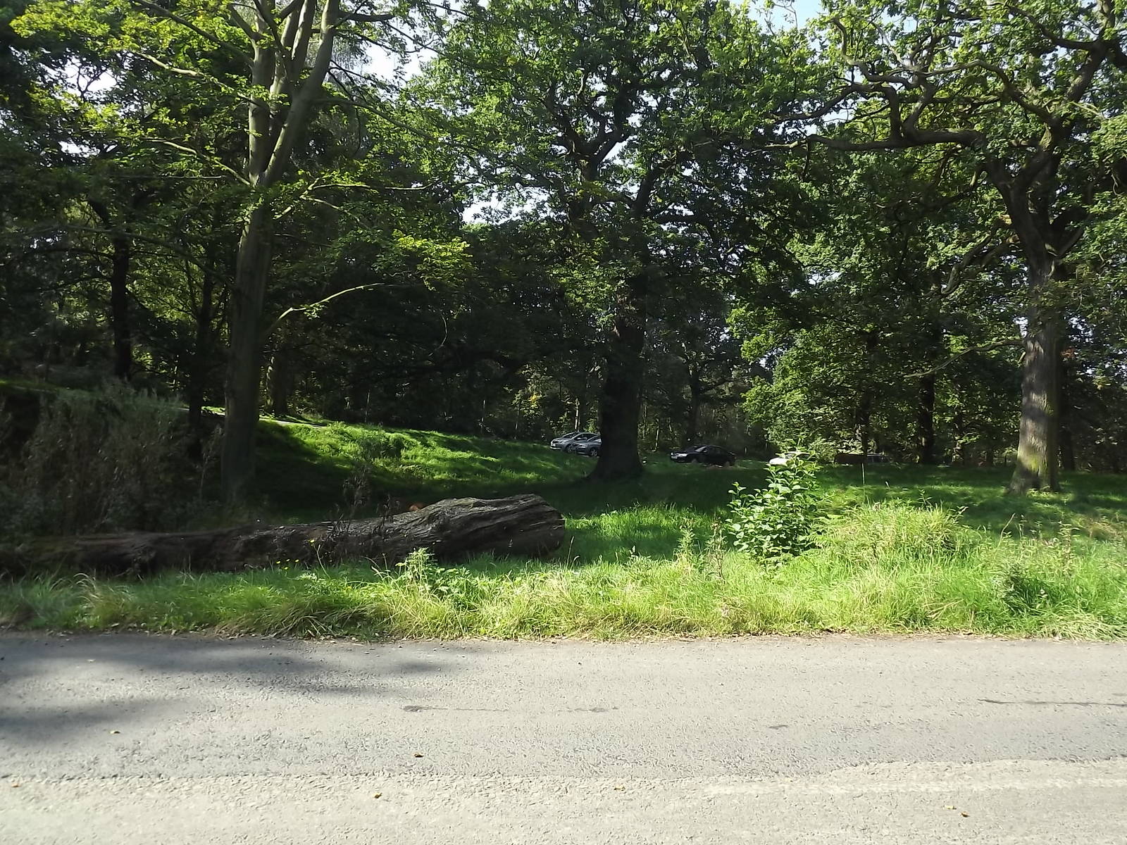 Lion exhibit at Knowsley Safari Park 08/09/12