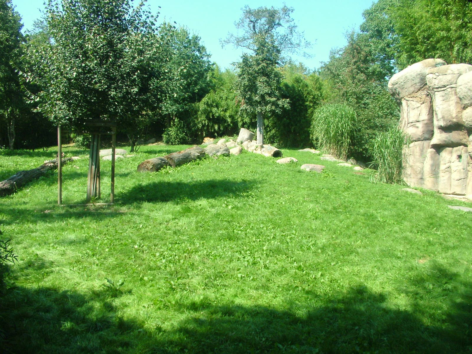 Lion Exhibit at Leipzig, 02/09/11