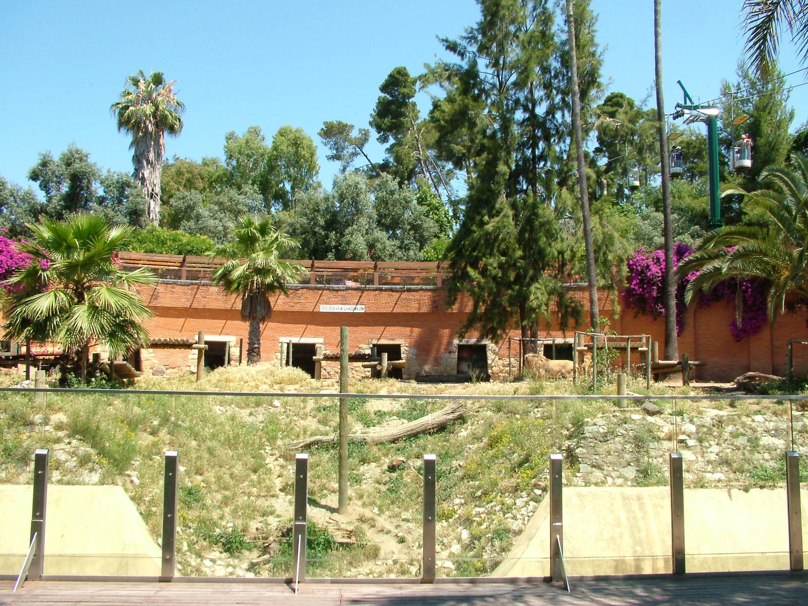 Lion Exhibit at Lisbon Zoo, 24/05/11