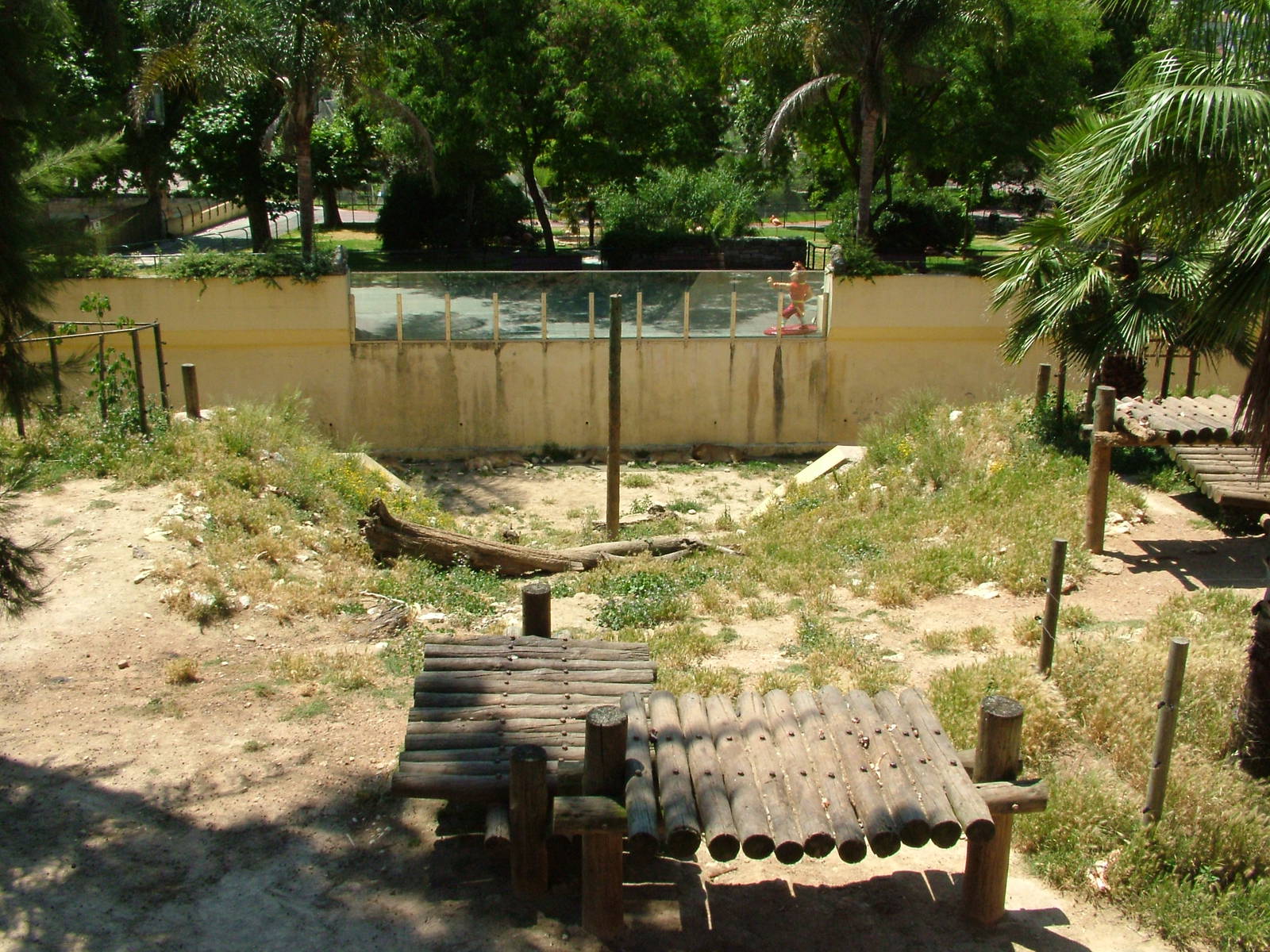 Lion Exhibit at Lisbon Zoo, 24/05/11
