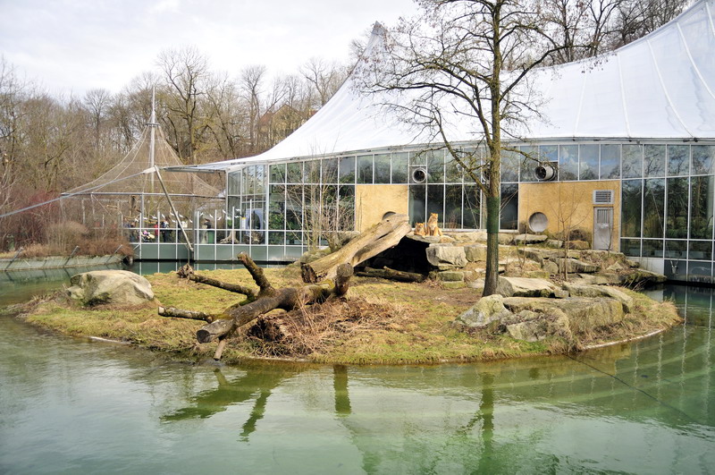 Lion exhibit at munich