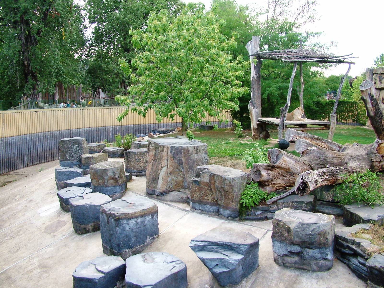 Lion Exhibit at Prague, 25/08/12