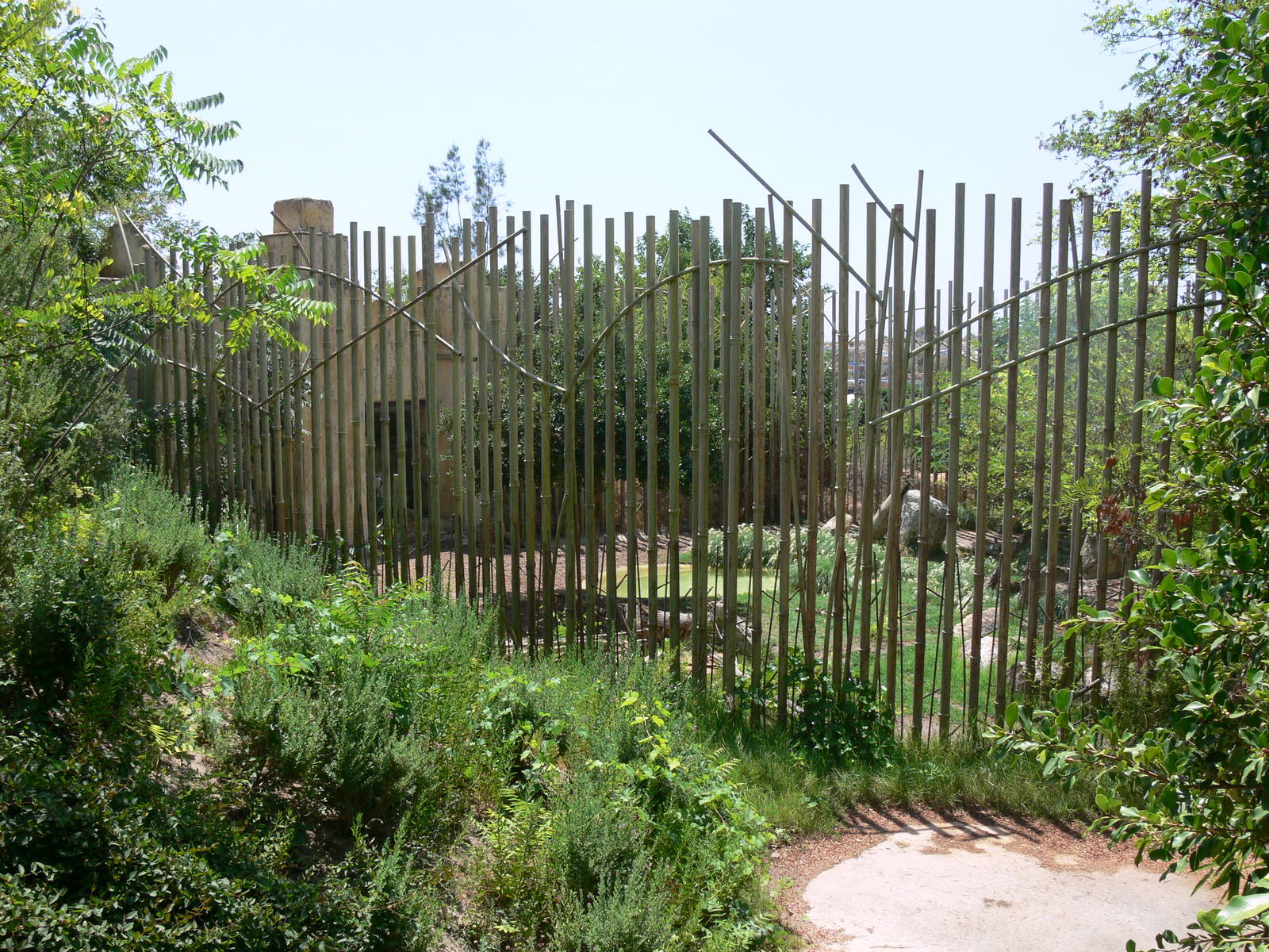 Lion Exhibit at Terra Natura, 03/08/14