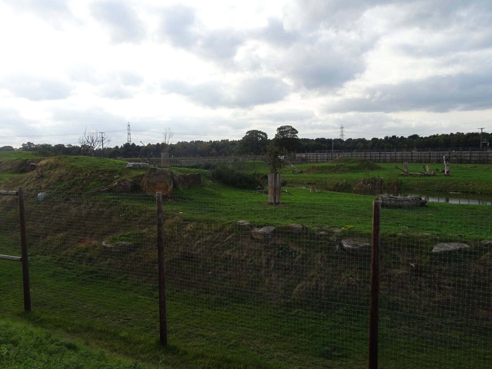 Lion Exhibit at Yorkshire Wildlife Park