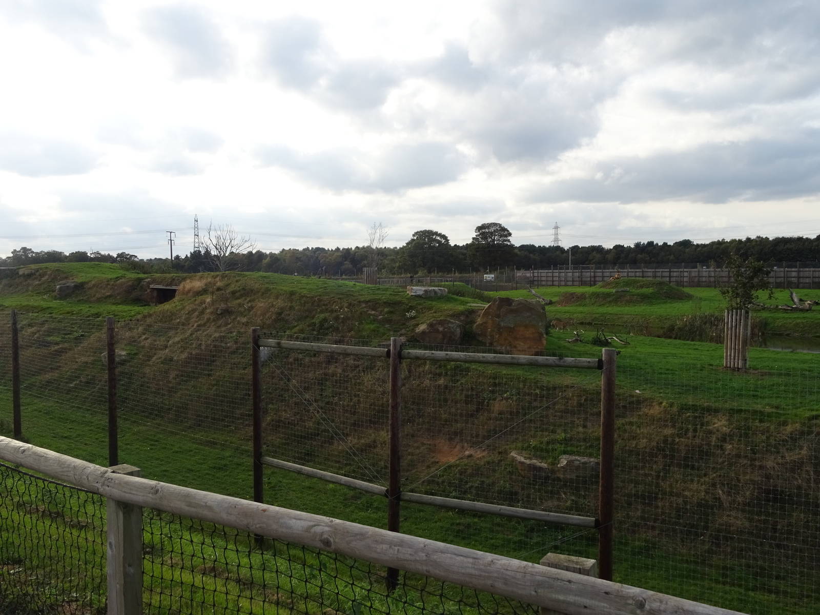 Lion Exhibit at Yorkshire Wildlife Park