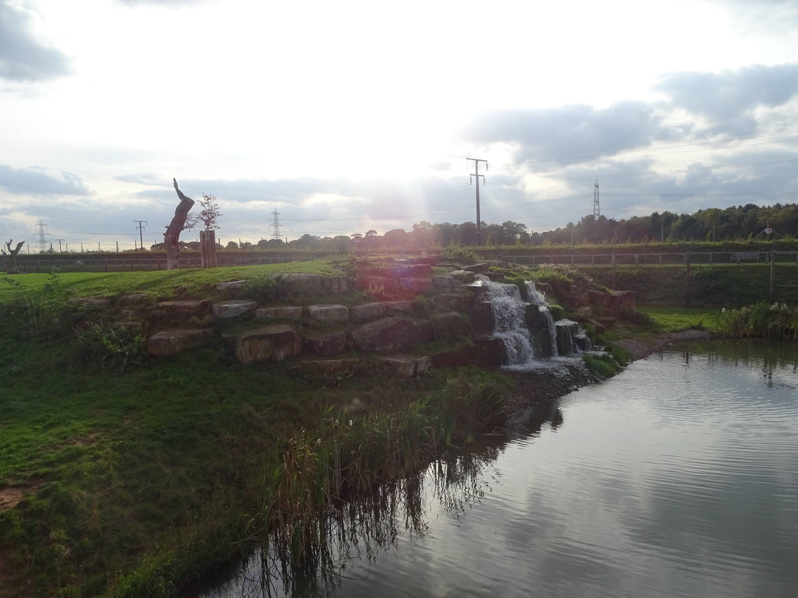 Lion Exhibit at Yorkshire Wildlife Park