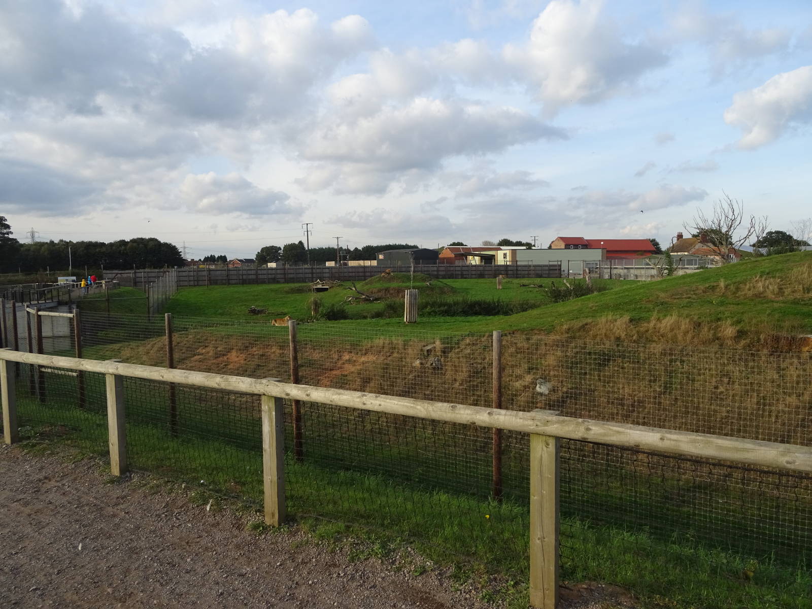 Lion Exhibit at Yorkshire Wildlife Park