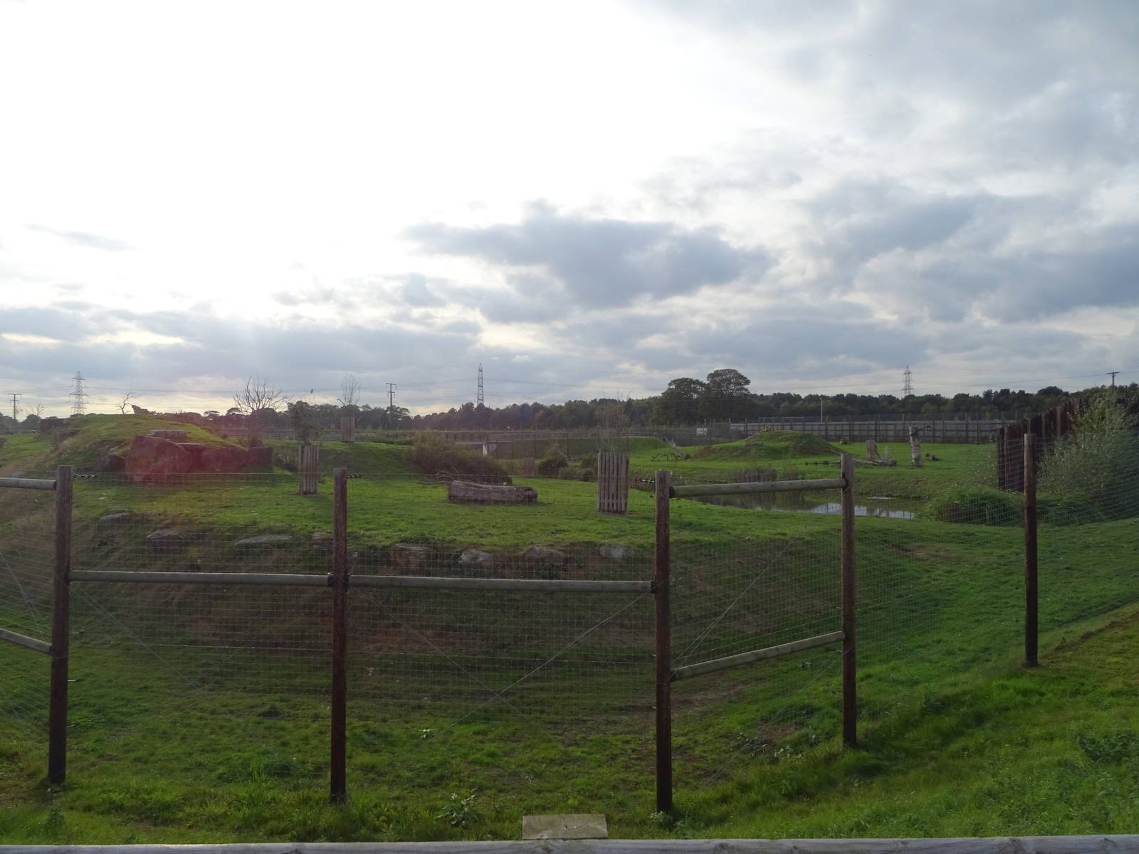 Lion Exhibit at Yorkshire Wildlife Park