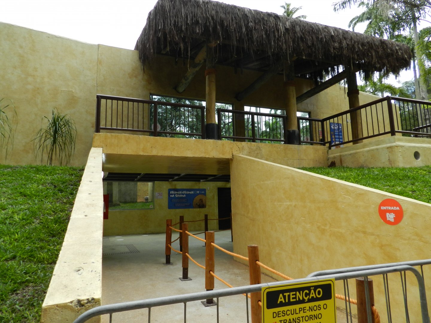 Lion exhibit - BioParque do Rio