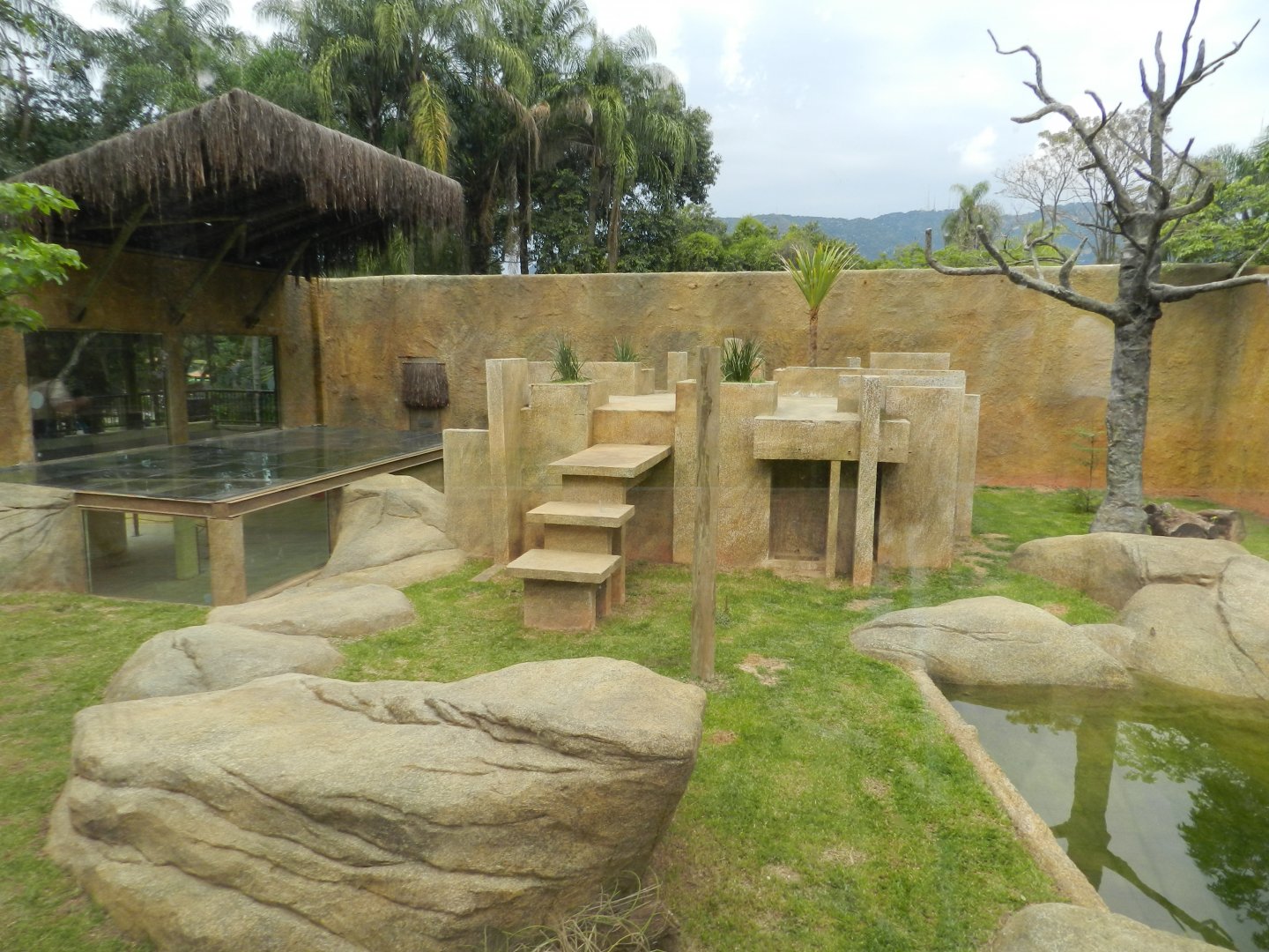 Lion exhibit - BioParque do Rio