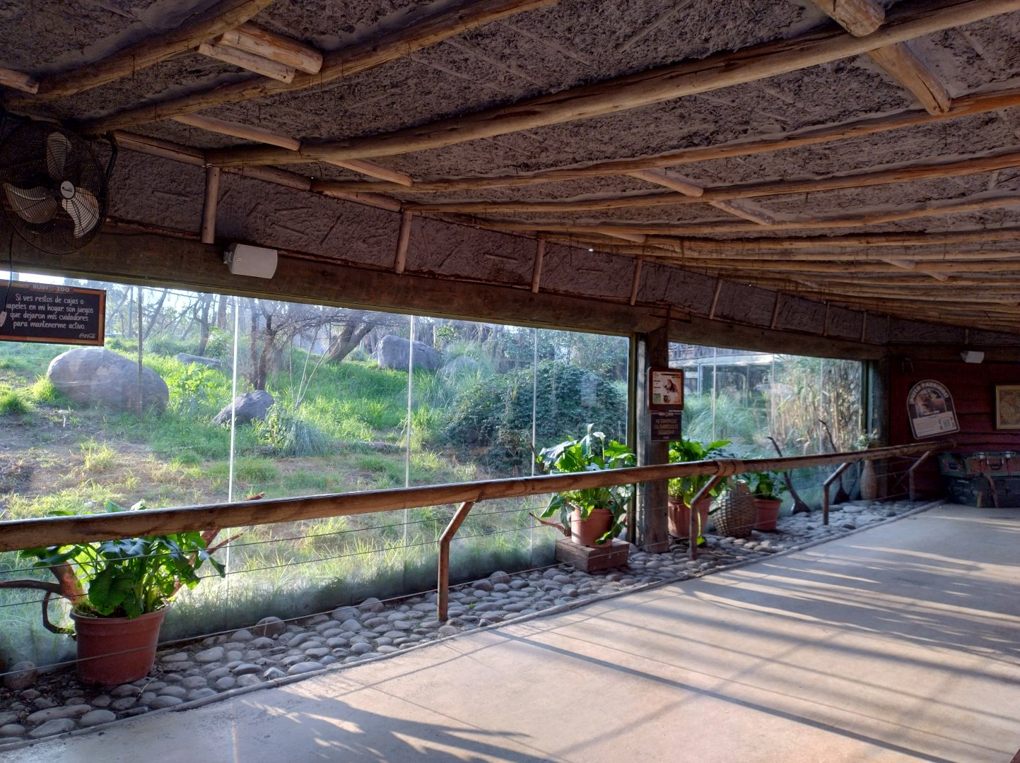 Lion exhibit - Buin zoo