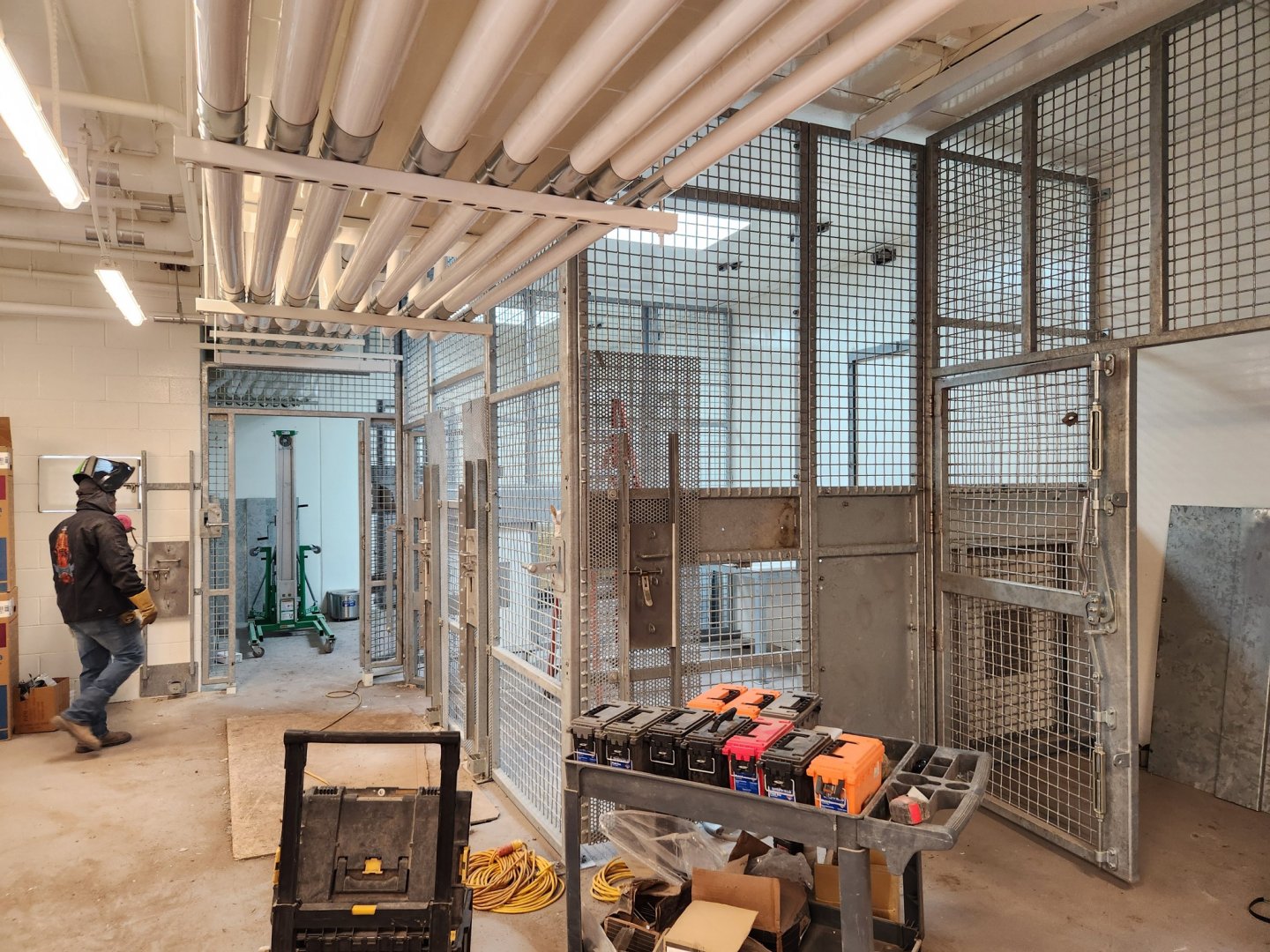 Lion Exhibit Construction - Holding