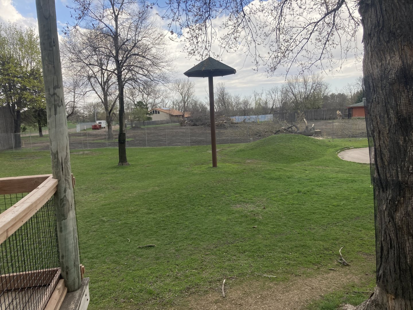 Lion Exhibit Construction - May 2023