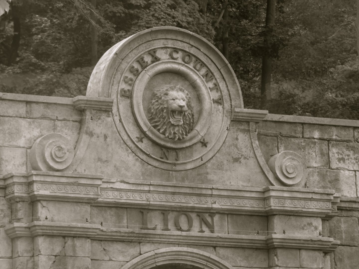 Lion Exhibit Detail - Sept. 2018