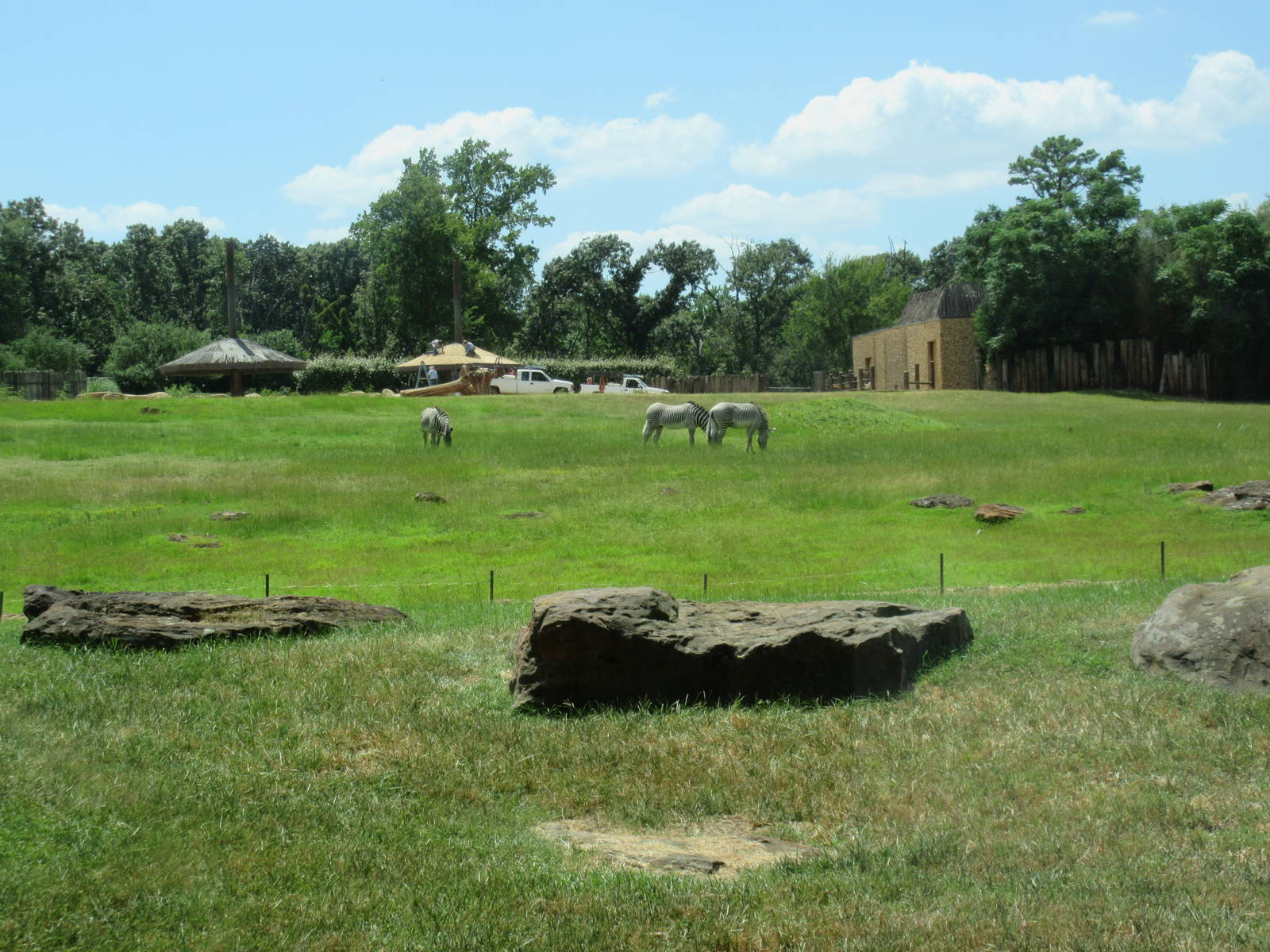 Lion Exhibit + East African Savanna + African Elephant Exhibit