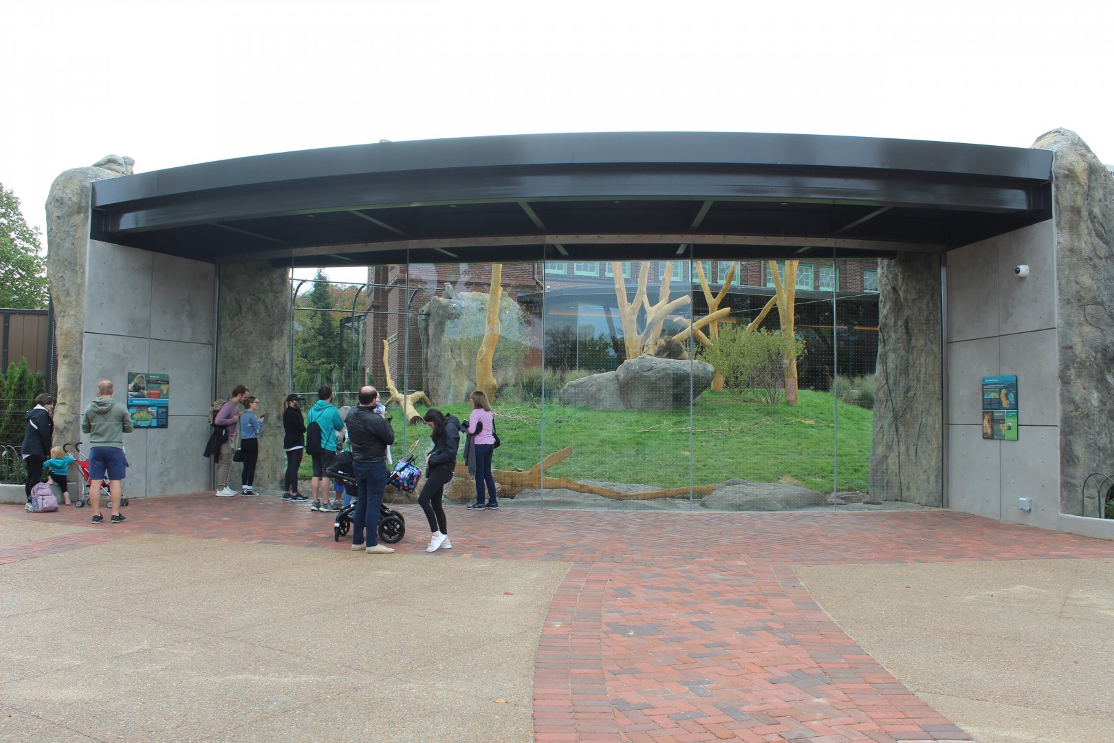 Lion Exhibit (East Side) - Pepper Family Wildlife Center