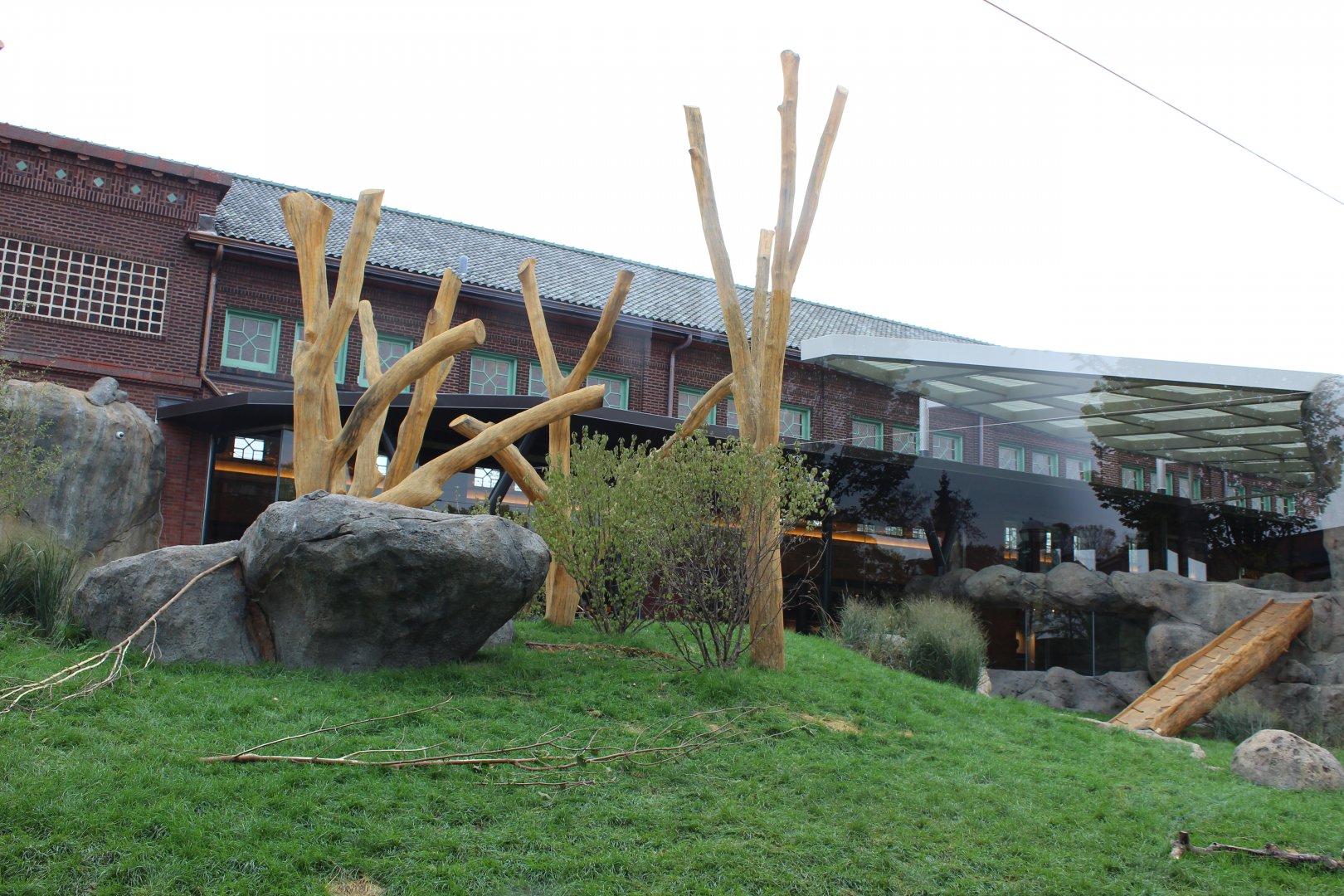 Lion Exhibit (East Side) - Pepper Family Wildlife Center