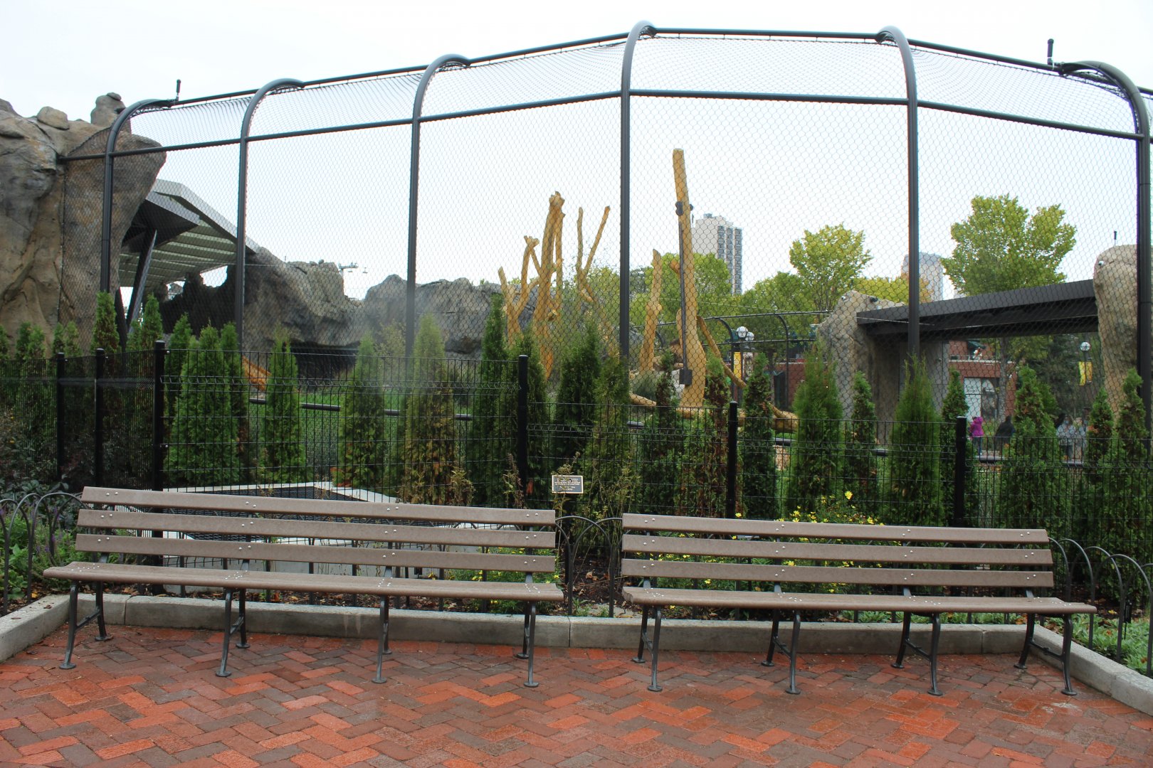 Lion Exhibit (East Side) - Pepper Family Wildlife Center