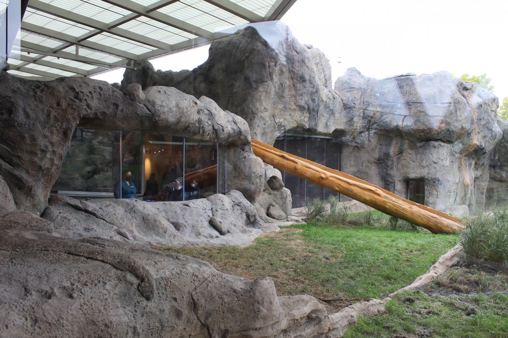 Lion Exhibit (East Side) - Pepper Family Wildlife Center