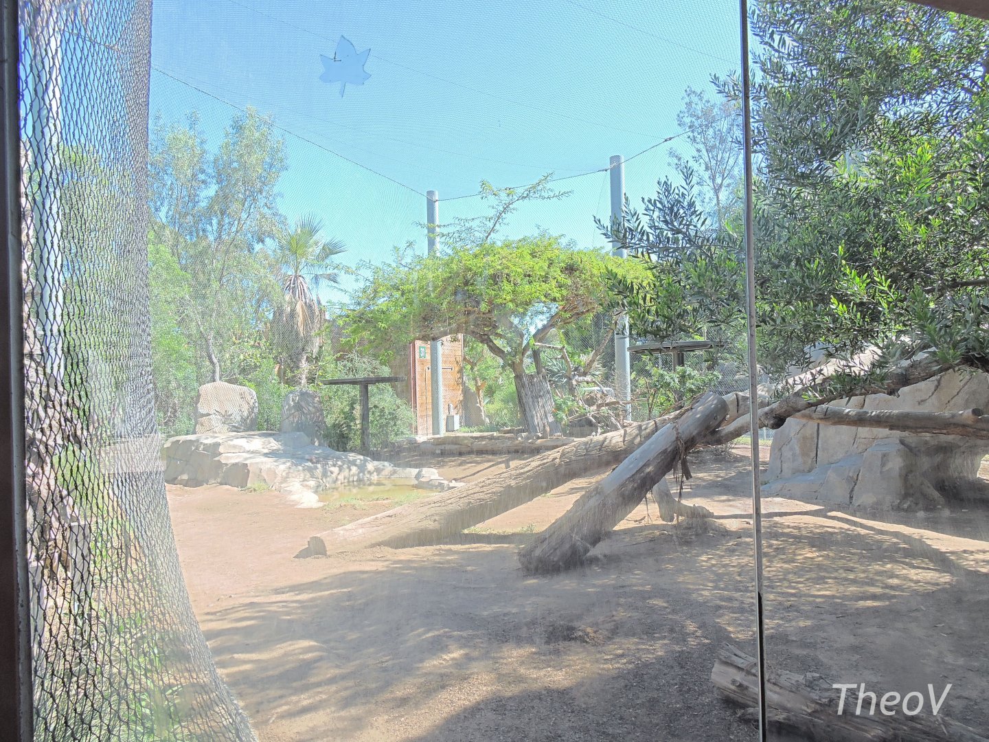 Lion exhibit - Elephant Odyssey [2015]